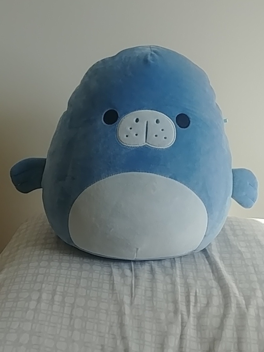 Squishmallows Original Maeve the Manatee